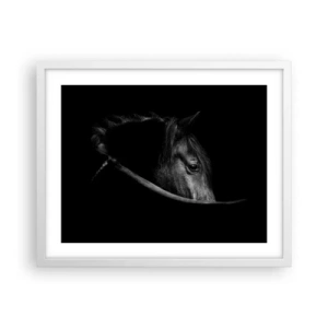 Poster in white frmae - Black Prince - 50x40 cm