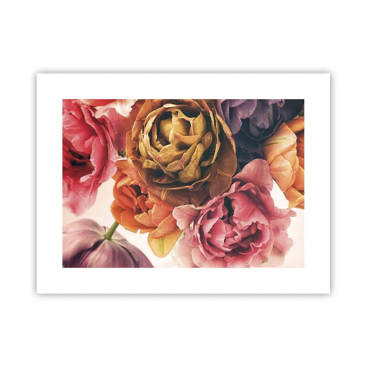 Poster - Celebration of Life - 40x30 cm