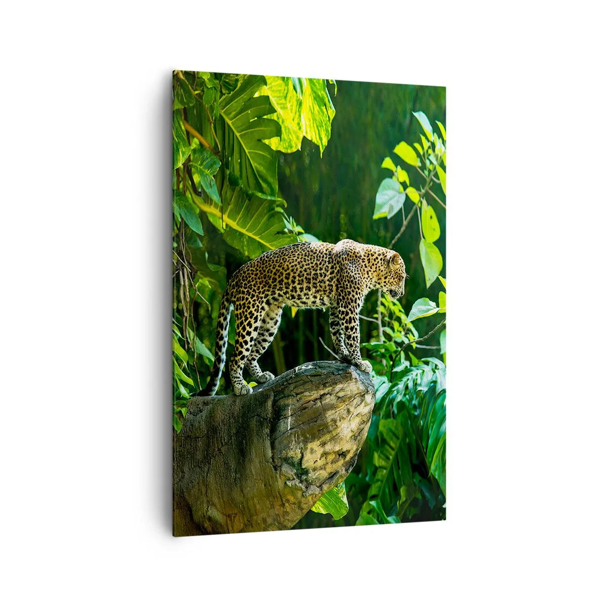 Canvas picture - Going Hunting? - 80x120 cm