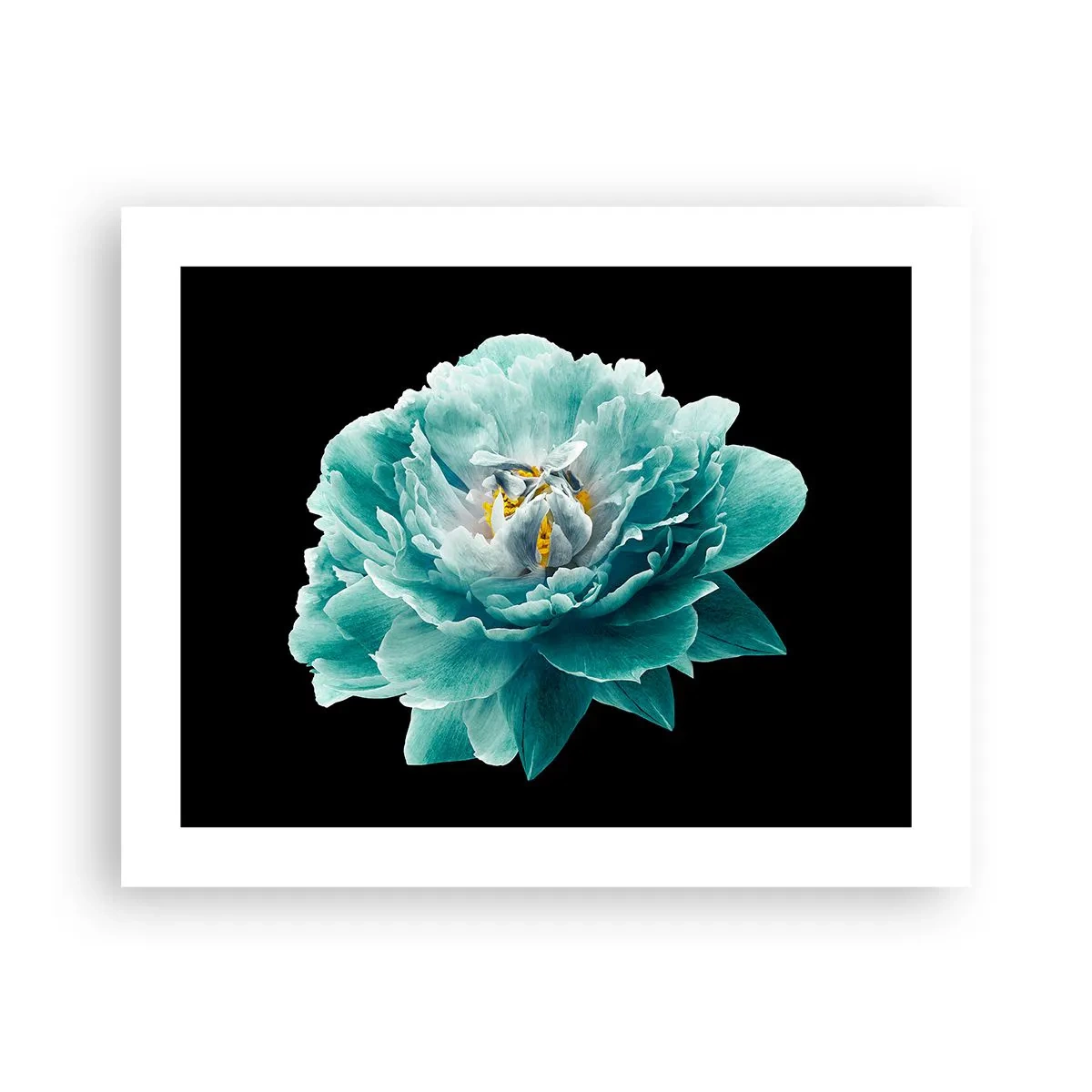 Poster - Blue and Gold Petals - 50x40 cm
