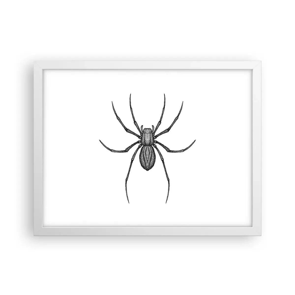 Poster in white frmae - Disturbing Precision - 40x30 cm