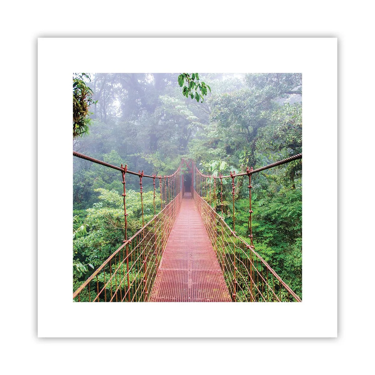 Poster - Suspended above Crowns - 30x30 cm