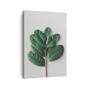 Canvas picture - Drawing of Nature Itself - 50x70 cm