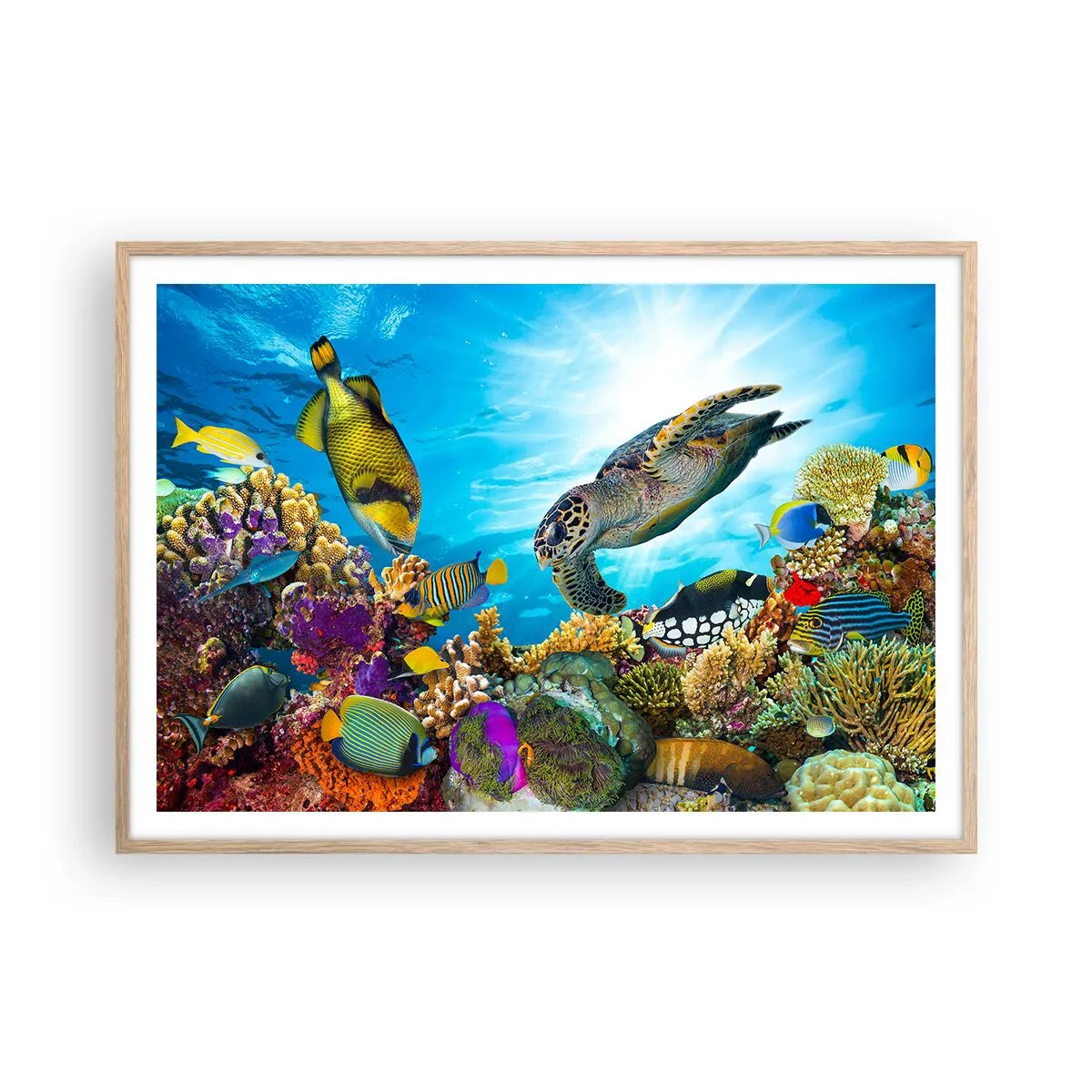 Poster in light oak frame - Coral Promenade - 100x70 cm