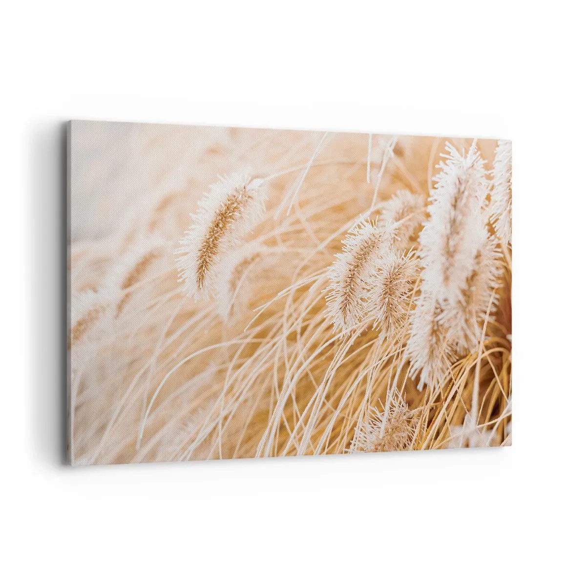 Canvas picture - Golden Rustling of Grass - 100x70 cm