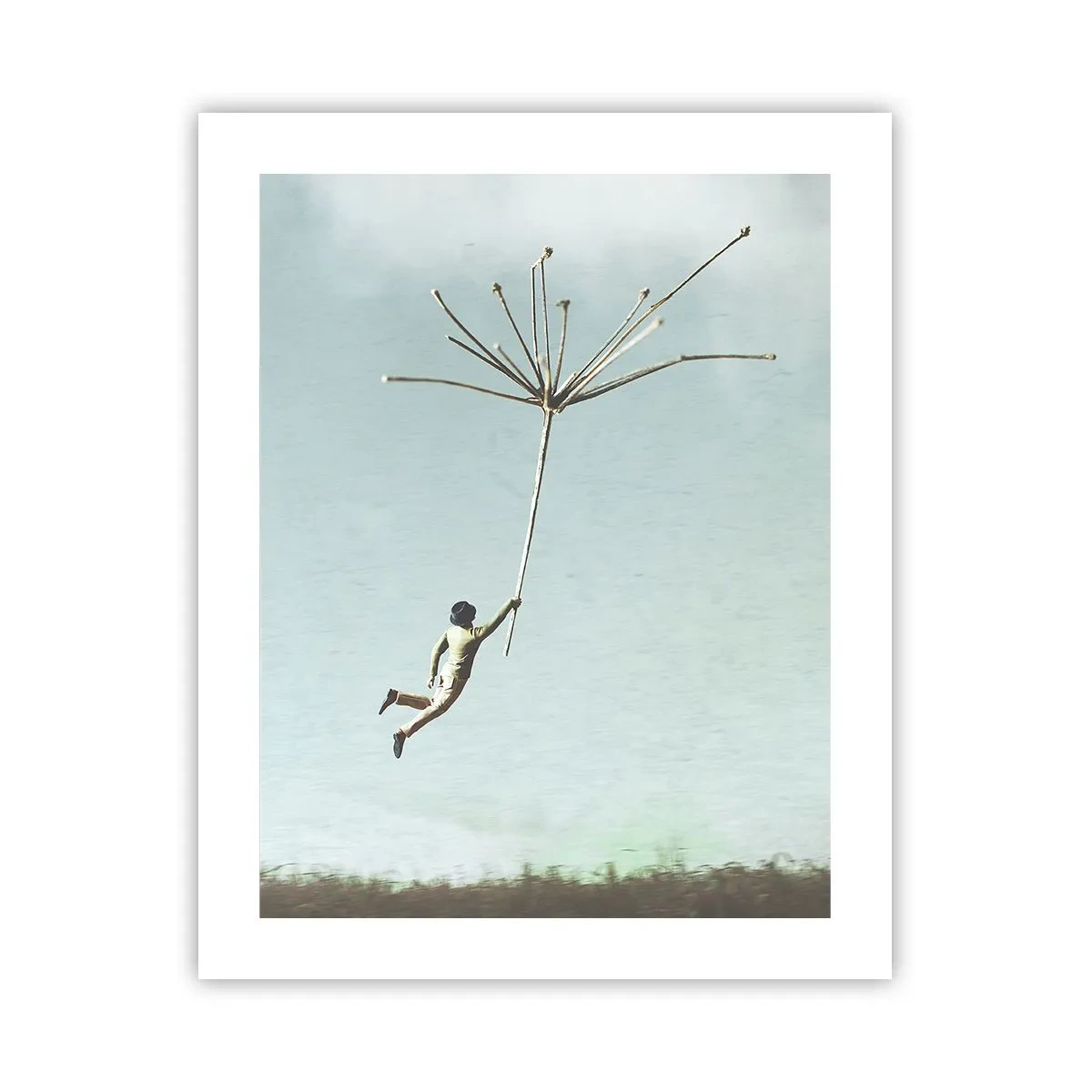Poster - Kites, Dandelions, Wind - 40x50 cm