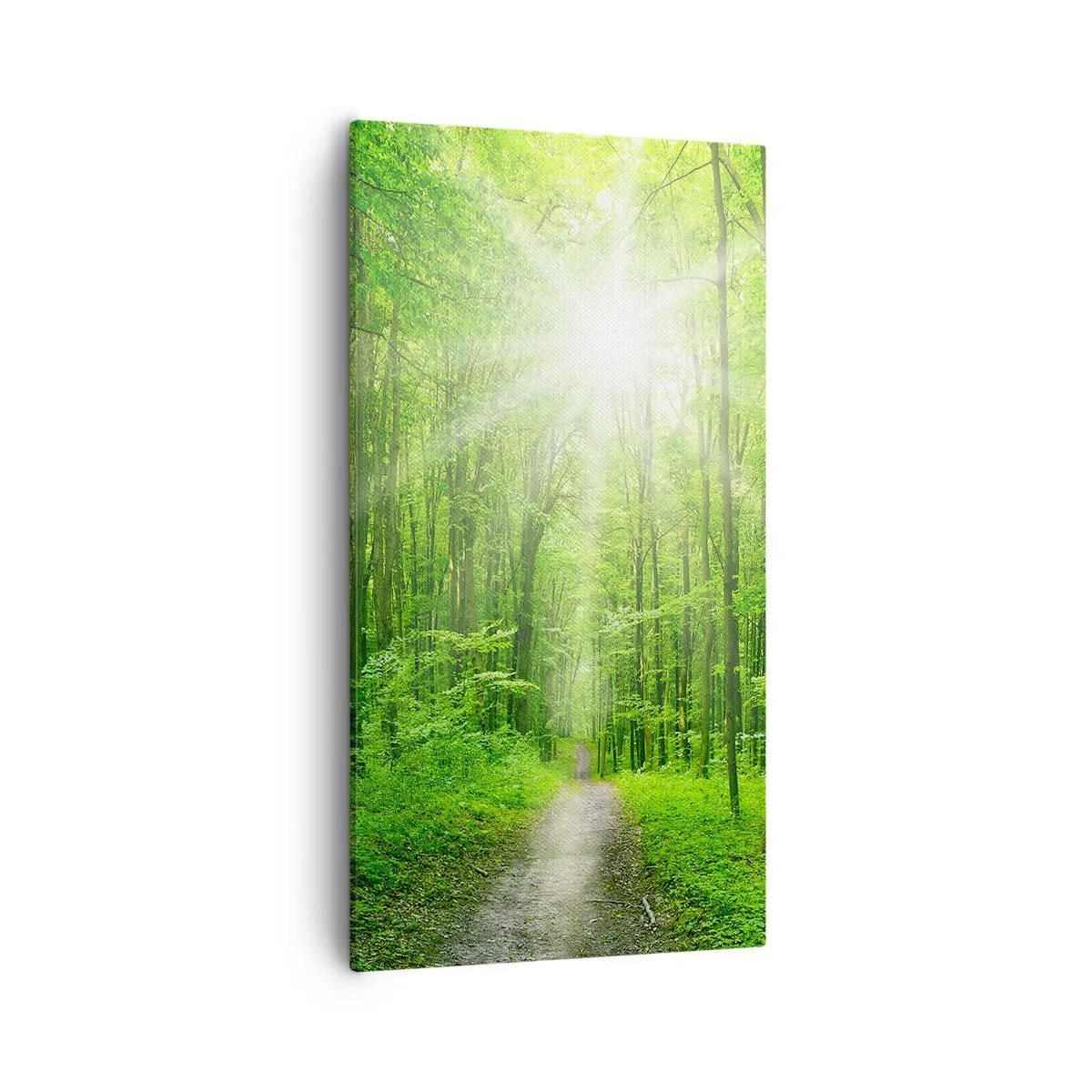 Canvas picture - Green Cathedral - 55x100 cm