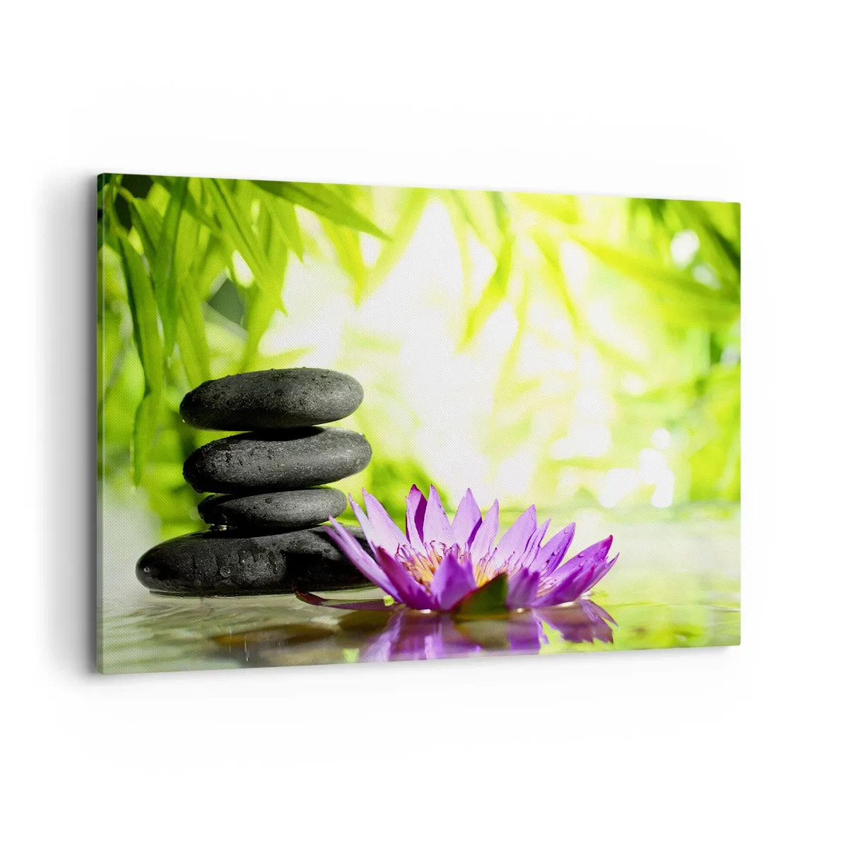 Canvas picture - In a Bamboo Grove - 100x70 cm