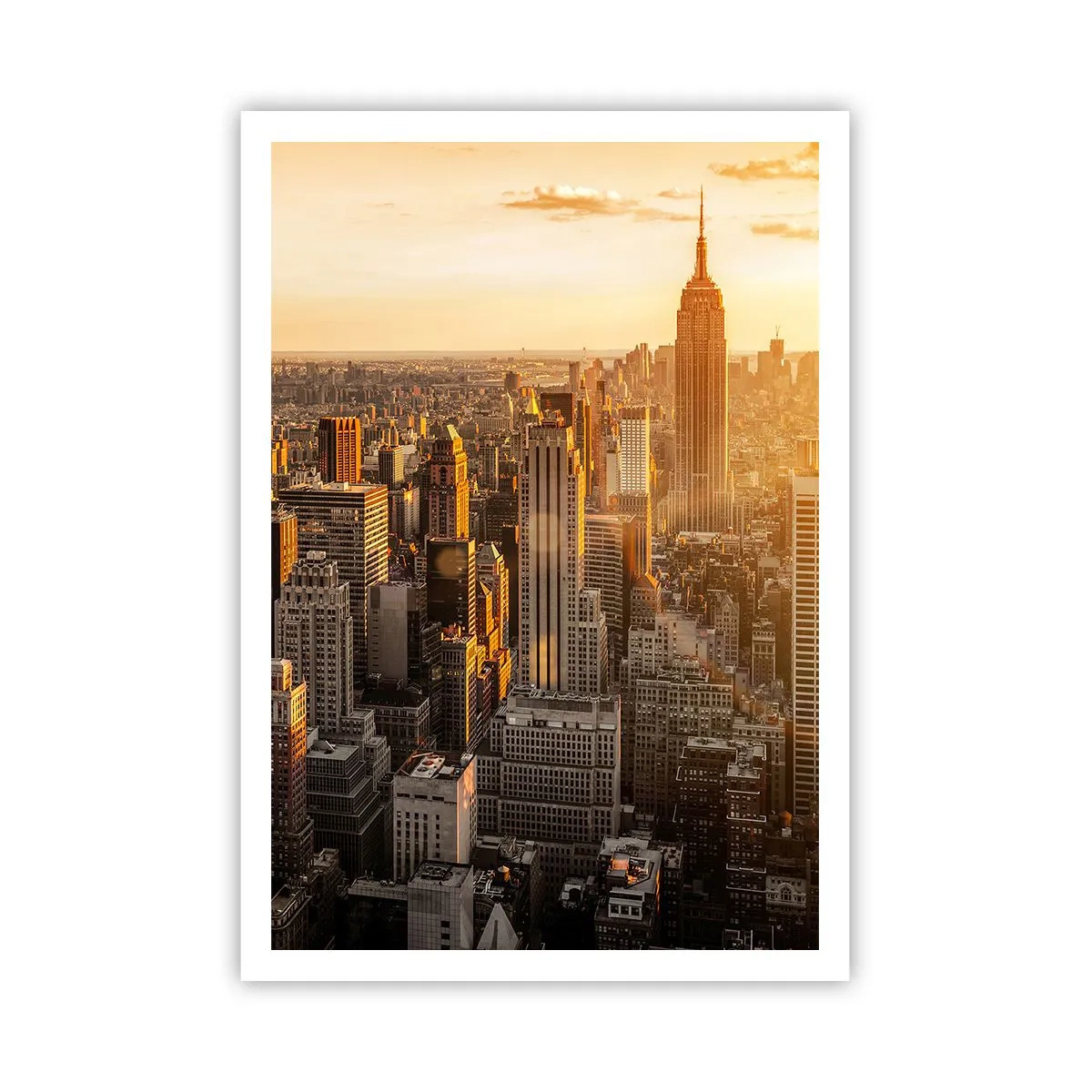 Poster - Growing in the Sun - 70x100 cm