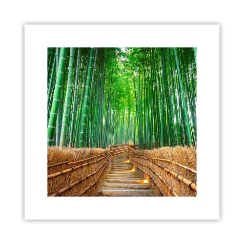Poster - Essence of Asian Nature - 30x30 cm
