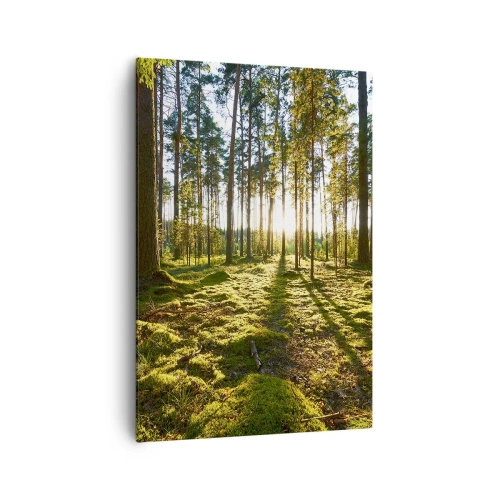 Canvas picture - Deep in the Forest - 70x100 cm