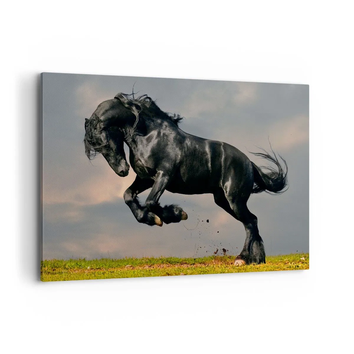 Canvas picture - Beautiful and Free - 120x80 cm