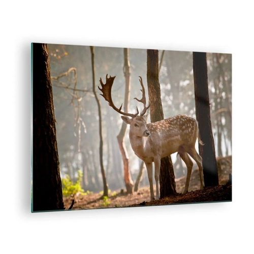 Glass picture - A deer in the forest surrounded by morning fog - 70x50cm - Light of Youth - Modern wall decoration for the living room and bedroom ARTTOR