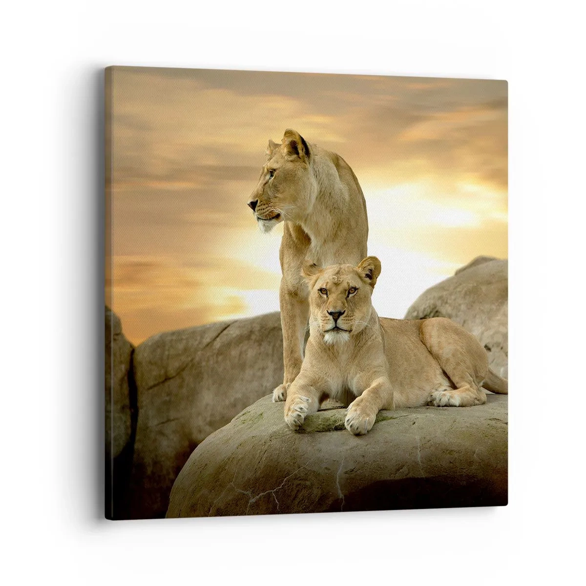 Canvas picture - Royal Majesty - 40x40 cm