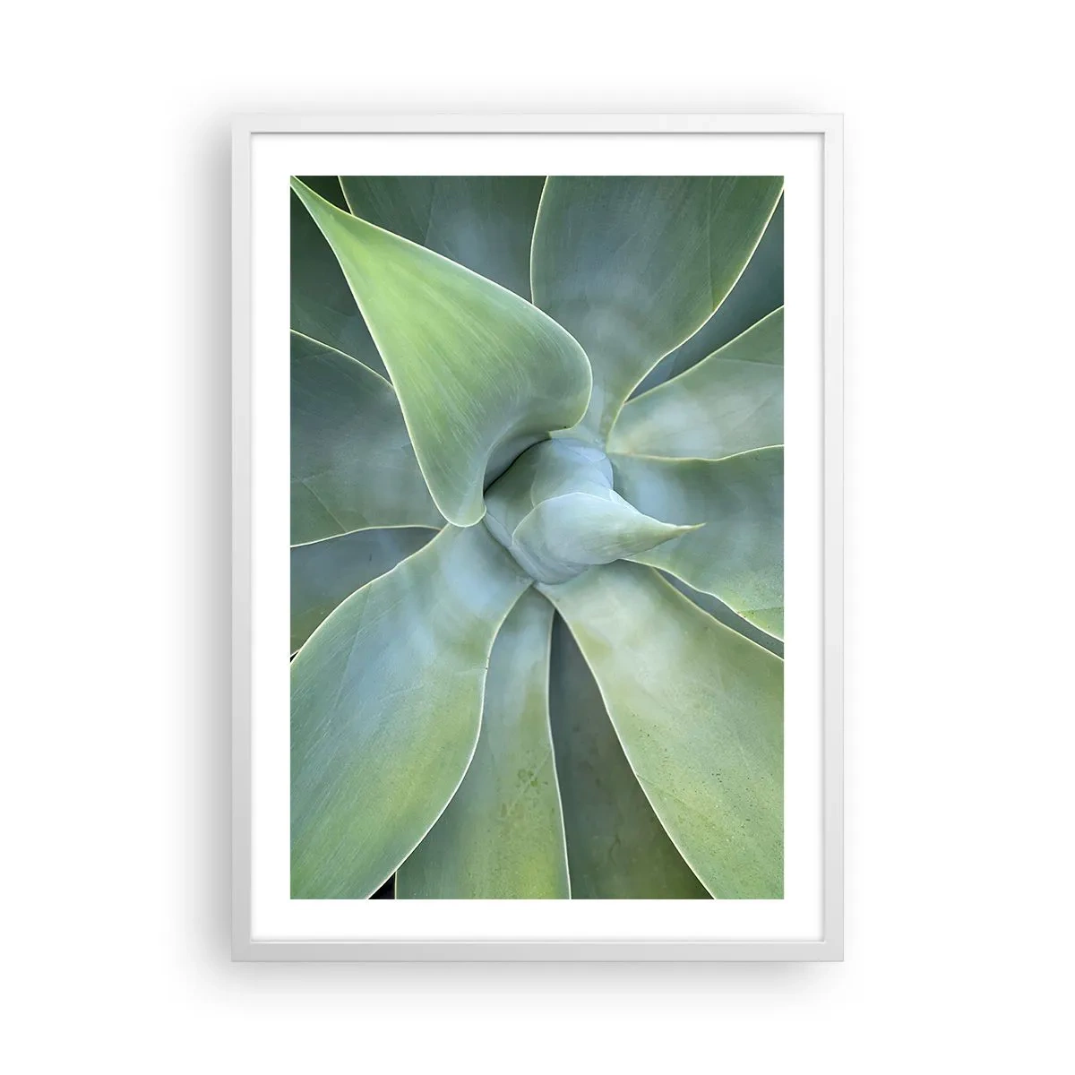 Poster in white frmae - Birth of Green - 50x70 cm