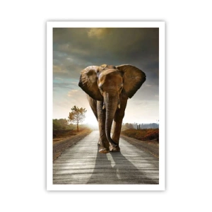 Poster - Not in a China Shop - 70x100 cm