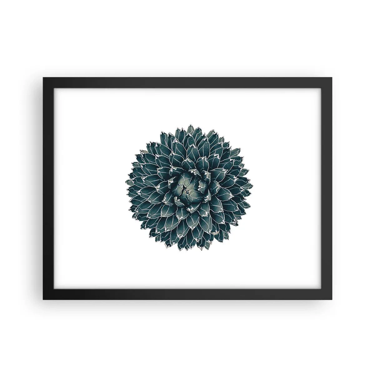 Poster in black frame - Star of the Desert - 40x30 cm