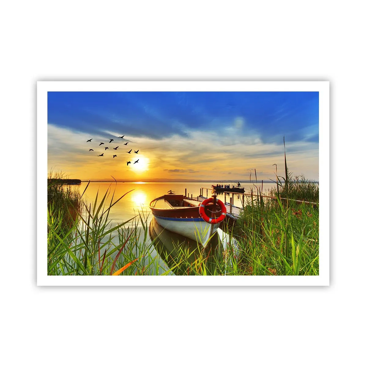 Poster - Cormorants Are Flying Away - 100x70 cm