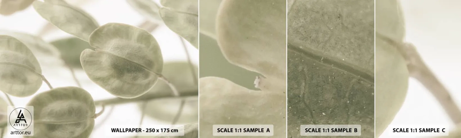 Photo Wallpaper Sample Standard Eco - In the Beginning There Were Leaves… - Flowers, Calm, Leaves - 100x30 cm