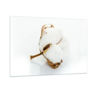 Glass picture - Soft By Nature - 120x80 cm