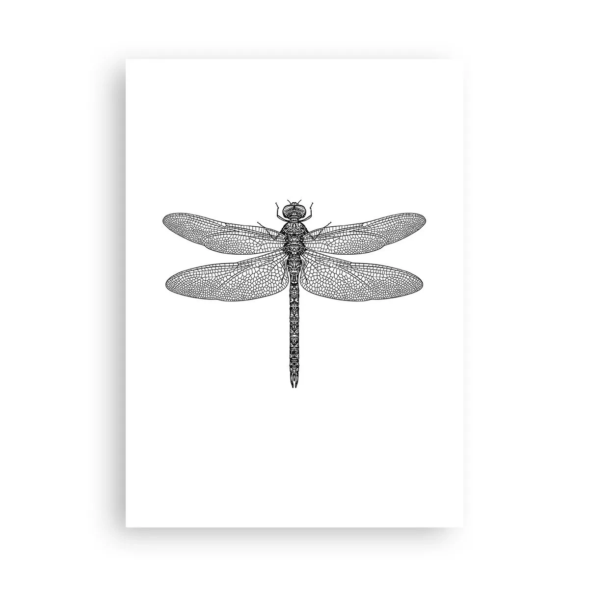 Poster - Precision of Nature - 50x70 cm