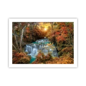 Poster - Hidden Forest Treasure - 70x50 cm