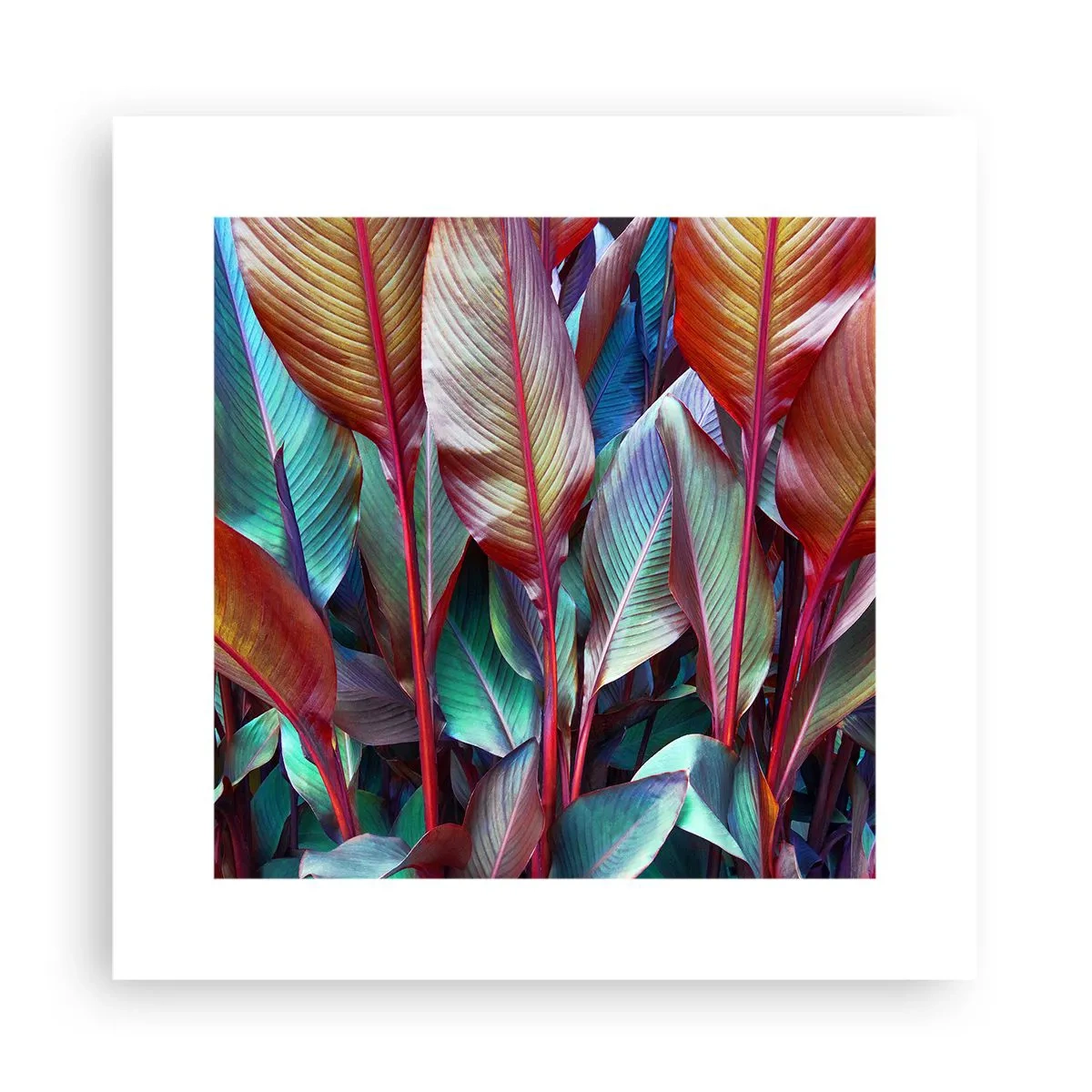 Poster - Colourful Thicket - 30x30 cm