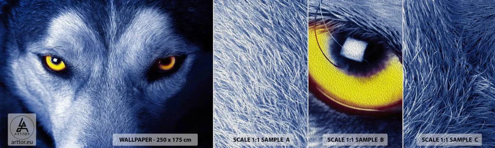 Photo Wallpaper Sample Premium Sand - Mesmerising Look - Animals, Wolf, Eyes - 100x30 cm