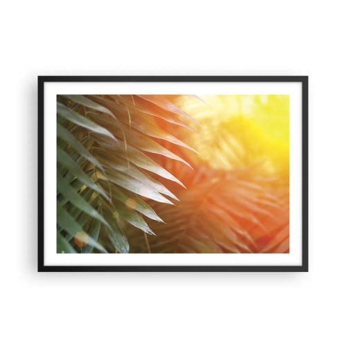 Poster in black frame - Morning in the Jungle - 70x50 cm