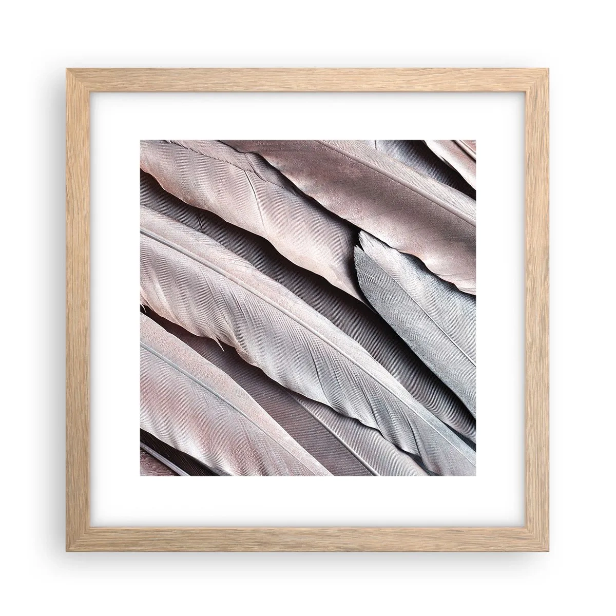 Poster in light oak frame - In Pink Silverness - 30x30 cm