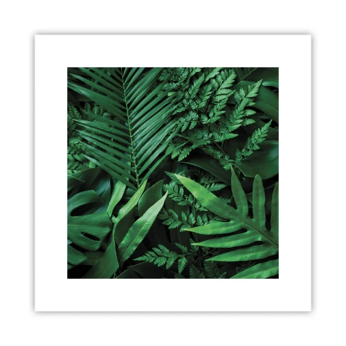 Poster - In a Green Hug - 30x30 cm