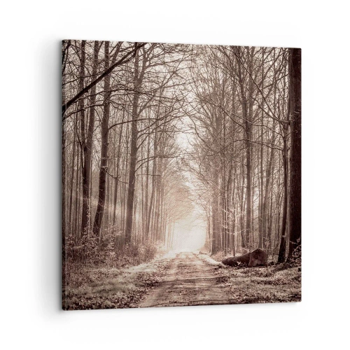 Canvas picture - Cathedral of the Forest - 60x60 cm