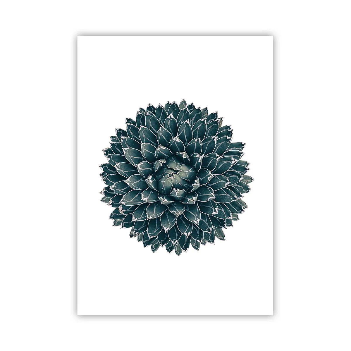 Poster - Star of the Desert - 70x100 cm