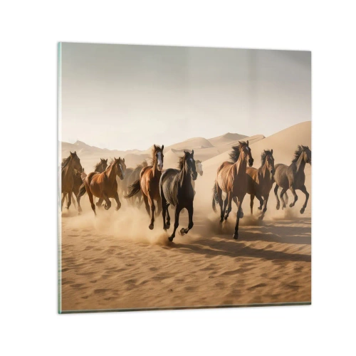 Glass picture - Free as a Wind - 70x70 cm