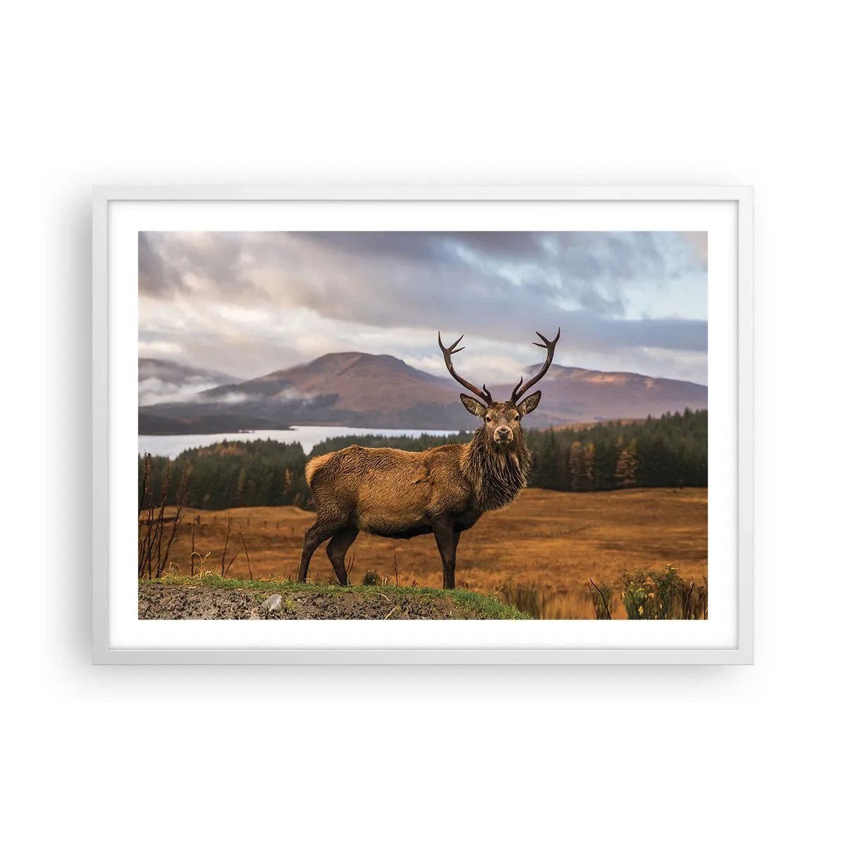 Poster in white frmae - Majesty of Nature - 70x50 cm