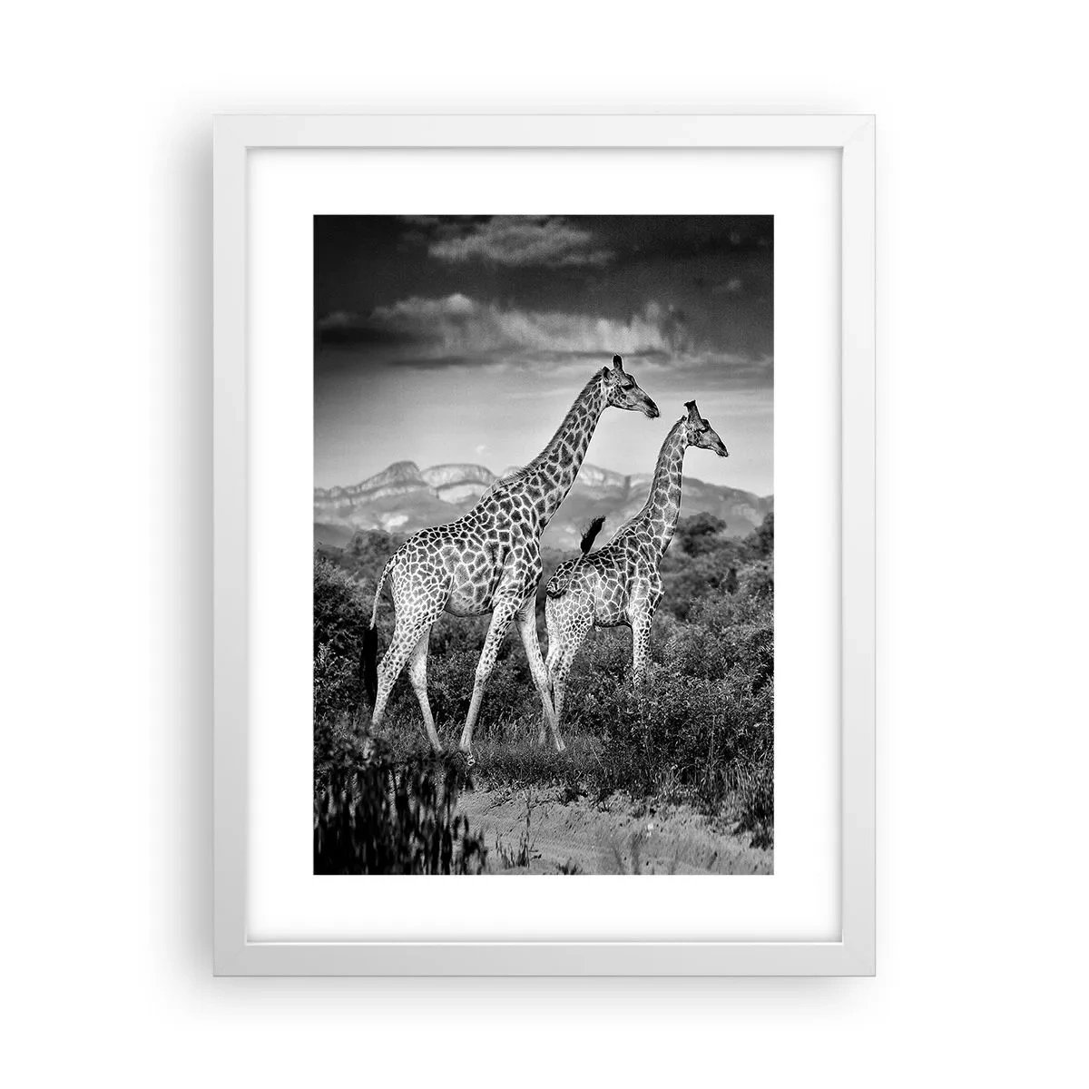 Poster in white frmae - Higher Spheres in Africa - 30x40 cm