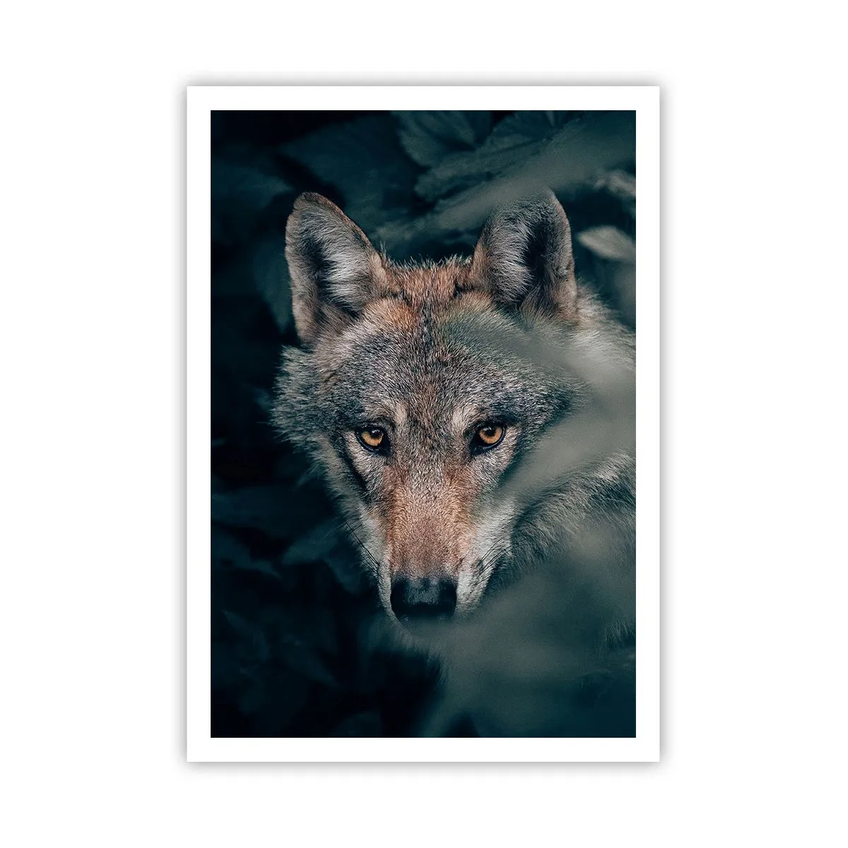 Poster - Hunter - 70x100 cm