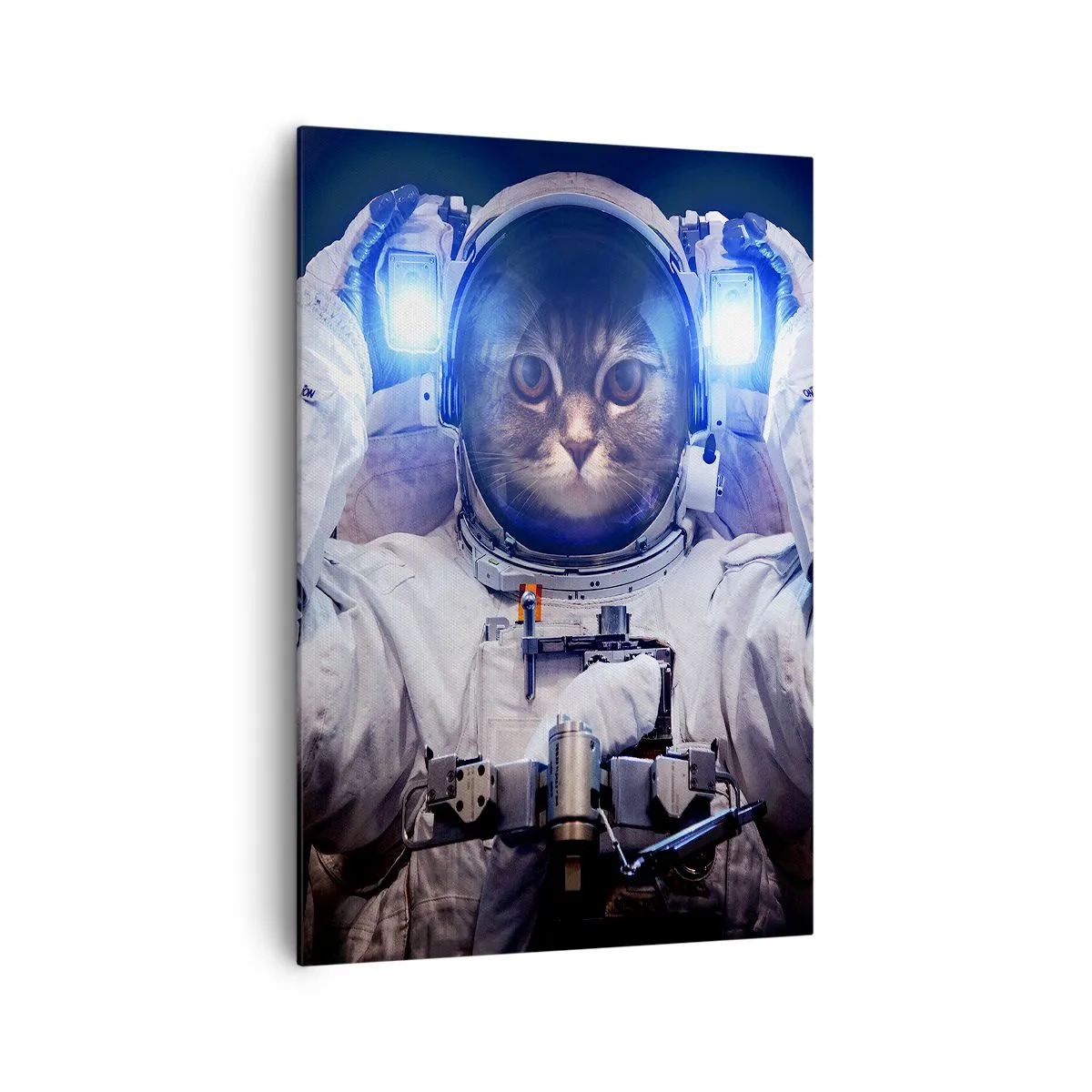 Canvas picture - Houston, You've Got a Problem - 70x100 cm