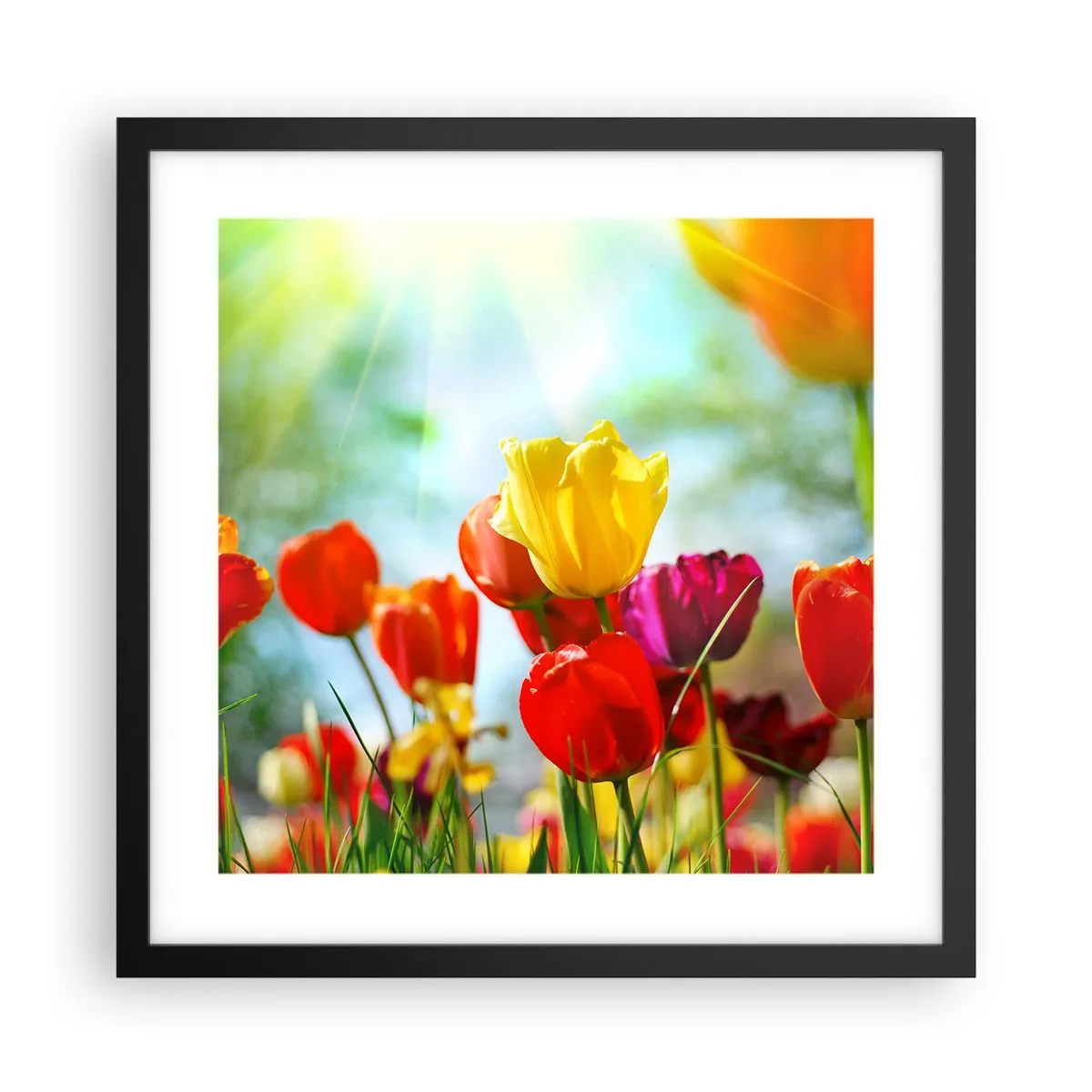 Poster in black frame - All Colours of the Sun - 40x40 cm