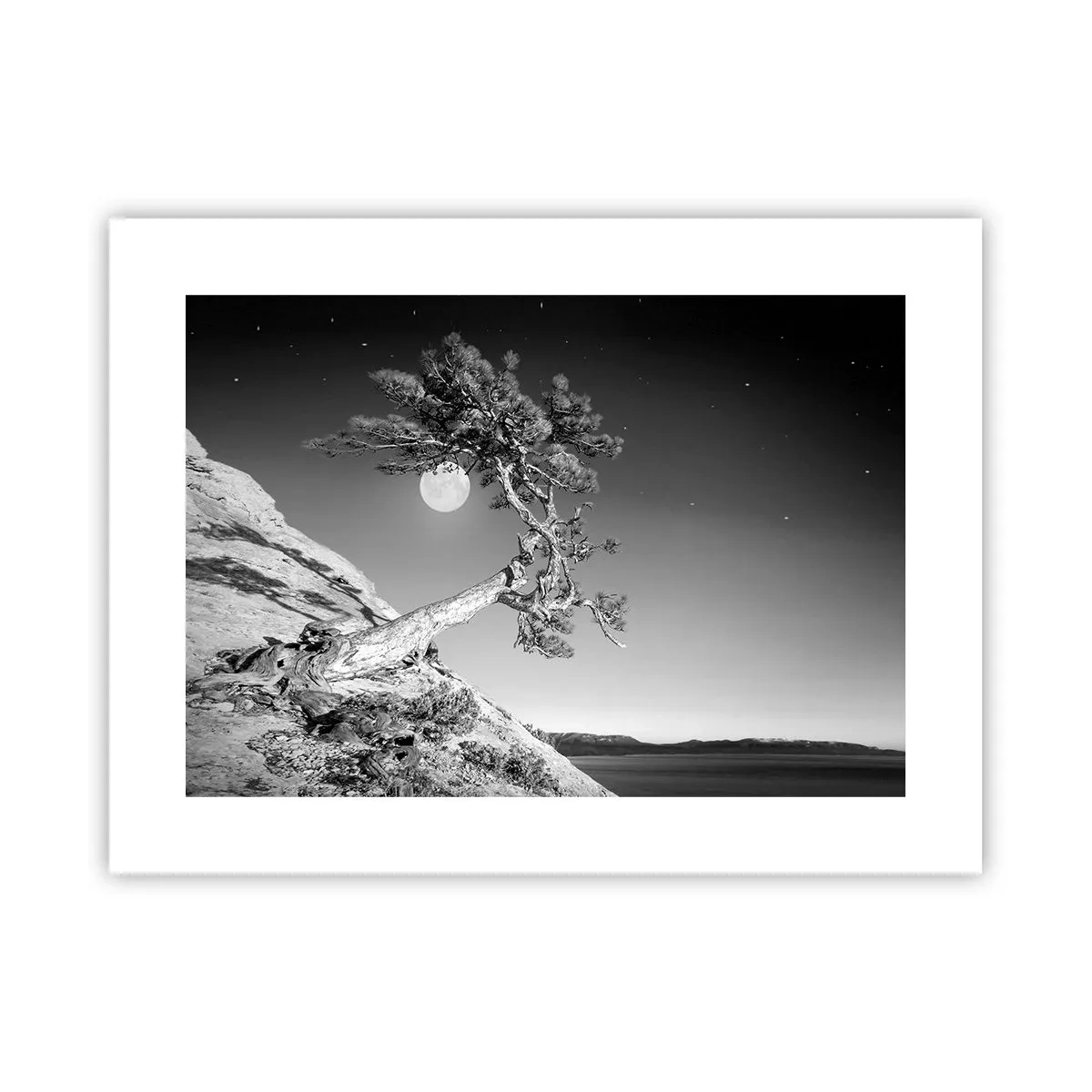 Poster - Winning Warrior - 40x30 cm