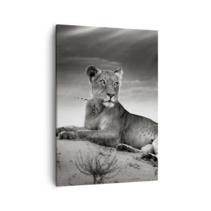 Canvas picture - Queen of Desert Is Resting - 50x70 cm