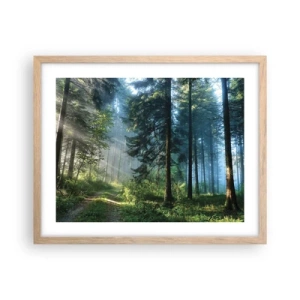 Poster in light oak frame - Radiant at Dawn - 50x40 cm