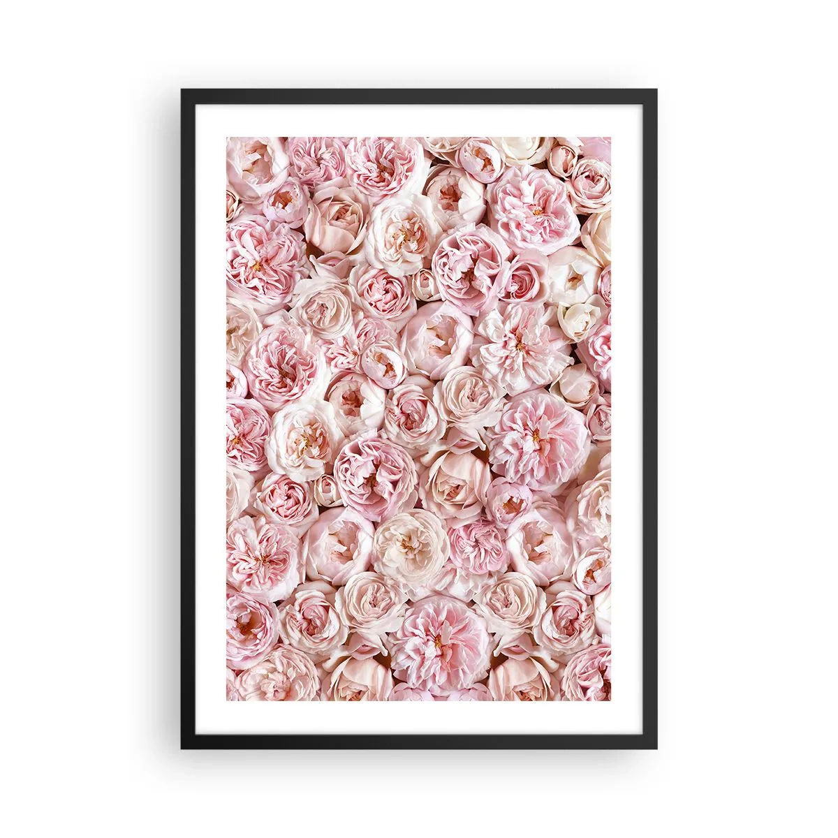 Poster in black frame - A romantic arrangement of pink flowers in close-up - 50x70cm - Decked with Roses - Modern wall decoration for the living room and bedroom ARTTOR