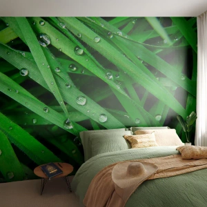 Self-Adhesive Photo Wallpaper Deluxe Sticker - Go Grren - Nature, Green grass, Garden - 500x350 cm