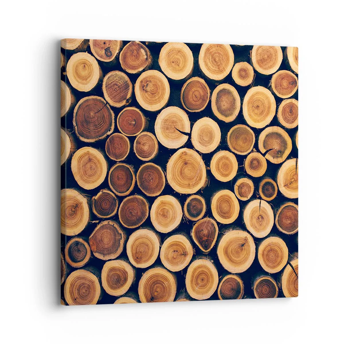 Canvas picture - How Much Do You Give Me? - 30x30 cm