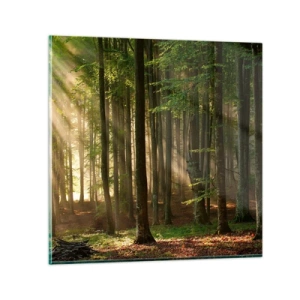Glass picture - Beaming in Spring Morning - 50x50 cm