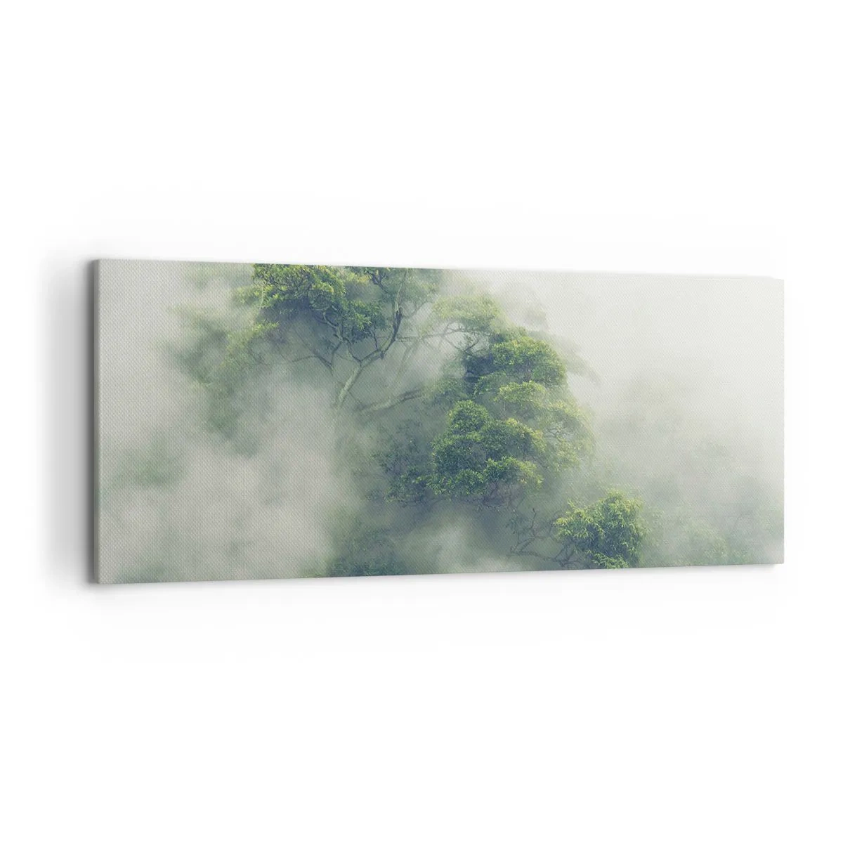 Canvas picture - Wrapped In Fog - 120x50 cm