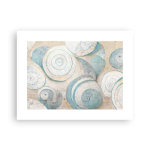 Poster - What Does a Shell Hide? - 40x30 cm