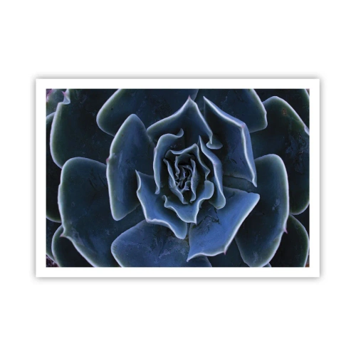Poster - Flower of the Desert - 100x70 cm