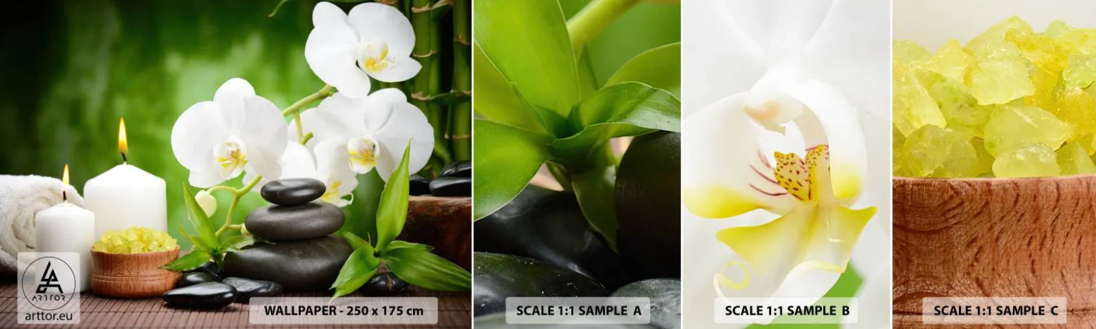 Photo Wallpaper Sample Standard Eco - Fragrant, Flowery, Delicate Touch - Flowers, Orchid, Orchid - 100x30 cm